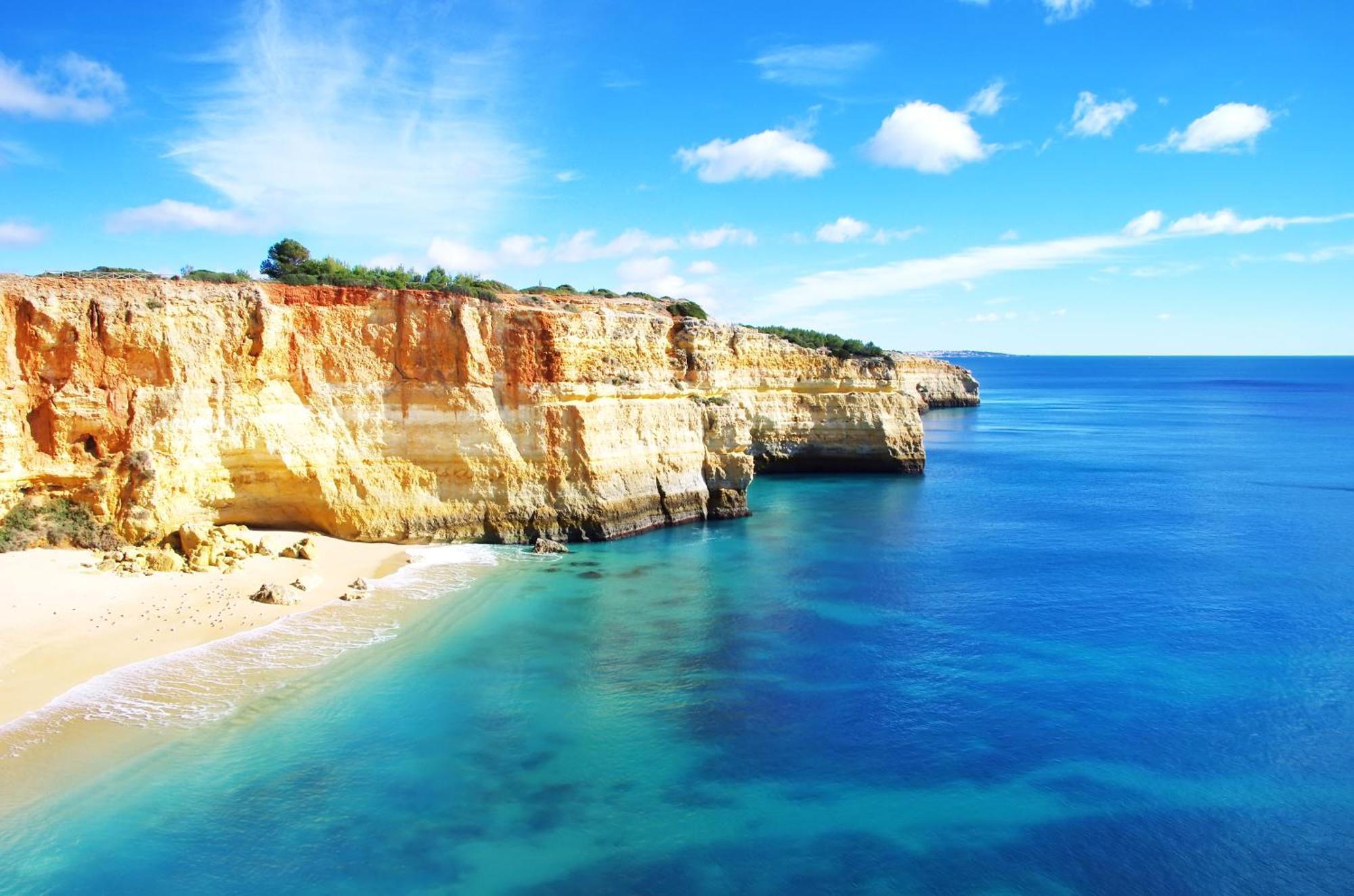Bnb Homes Praia Da Rocha Beach Cozy Apartment 50 M Away From The Ocean بورتيماو المظهر الخارجي الصورة